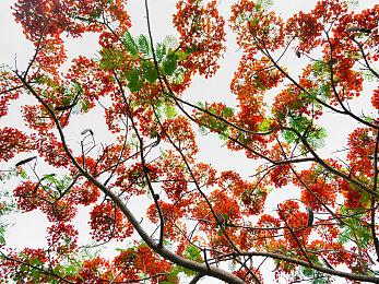 虚拟主播推理游戏《谁是中之人》上线10月新品节